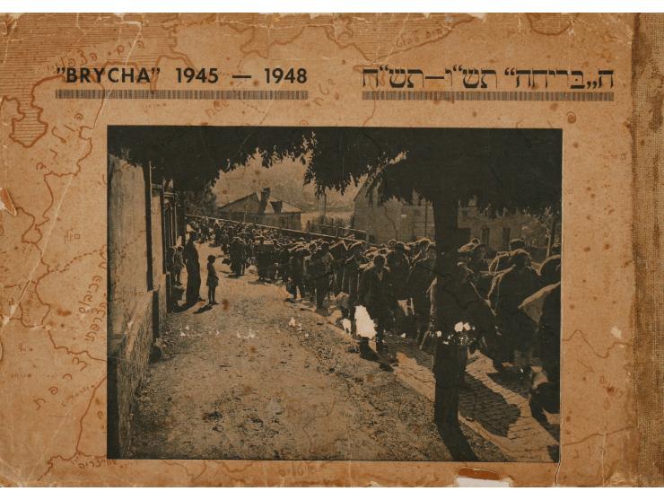 Home Through the Vale of Tears. Published by the "Brycha", 1948. Hebrew, Yiddish and English. A book with many photographs wh