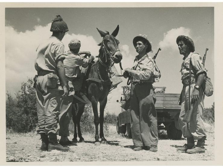 19 תצלומי עיתונות של חיילי צה"ל. רוב התמונות הן של אימונים או טקסים, בעיקר של חיל האוויר וחיל הים. בצדם האחורי של התצלומים כת