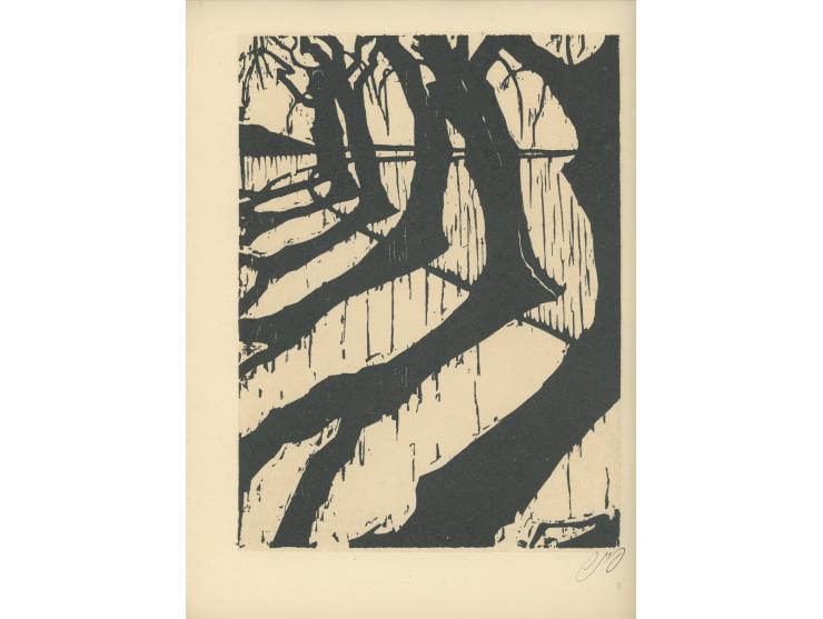 Landscapes woodcuts, יעקב פינס. הוצאת דביר, תל-אביב, 1955. אנגלית.
 פורטפוליו ובו שמונה חיתוכי עץ מאת יעקב פינס המתארים נופים
