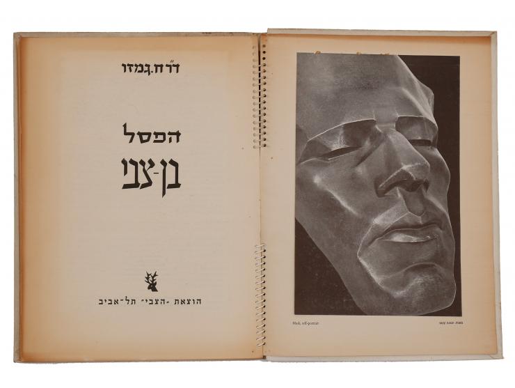 16 ספרים וחוברות אודות פסלים ישראליים:
 * רפאל חמיצר, ארי אבן זהב. הוצאת ראובן מס ירושלים, 1937. הקדשה לד"ר קרל שוורץ בד