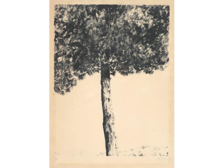 A Tree / 1975 / Lithograph / 68X51 cm / Signed, dated and numbered 3/65