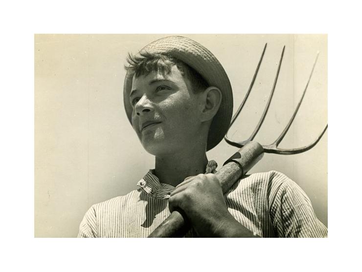 26 תצלומים שחור-לבן, מאת הצלם זולטן קלוגר (1896-1977). ארץ ישראל, [שנות ה-30-40].
 בתצלומים נראים דמויות חלוצים ובנאים, אירוע