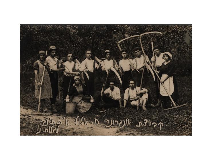 שמונה תצלומים וגלויות מצולמות (Real-Photo) המתעדים פעילות של חלוצים, תנועות-נוער וקבוצות ציוניות. ארץ ישראל ומזרח אירופה, שנו