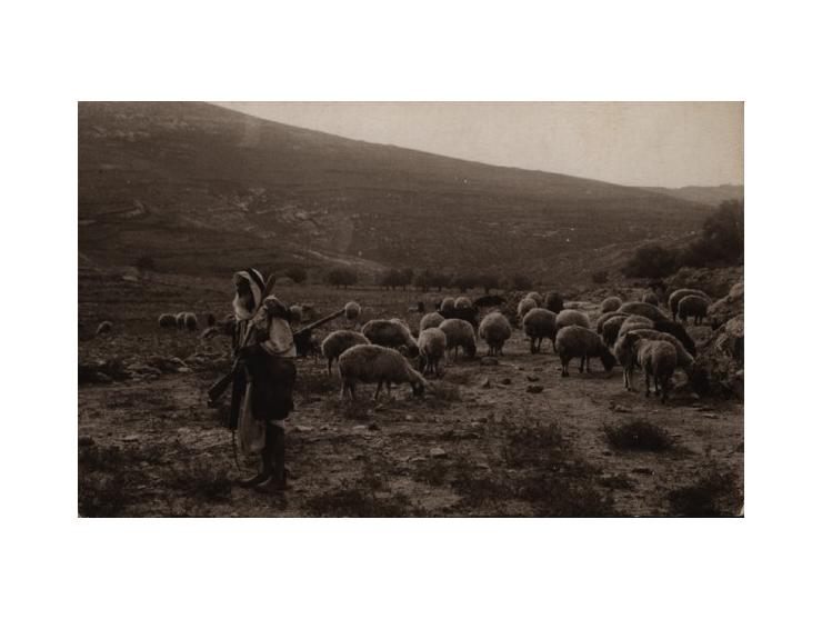 שמונה-עשרה גלויות עם איורים ותצלומים של בדואים וערבים בארץ ישראל. מו"לים שונים וזמני-הדפסה שונים, [שנות העשרים של המאה ה