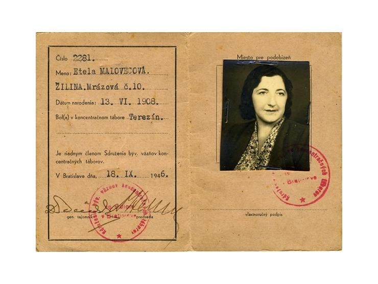 שני מסמכים מגטו טרזין (טרזינשטאט, צ'כיה):
1. כרטיס Ghetto Theresienstadt Arbeitsausweis, על-שם Etel Mangel. מארס 1945. [4] עמ