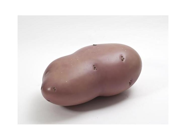 תפוח אדמה / 2008 / פסל פוליסטירן מוקצף, ג’סמוניט, גלזורות אקריליות, פיגמנטים ולכה / 25*35*75 ס"מ / מצורף אישור רכישה מגל