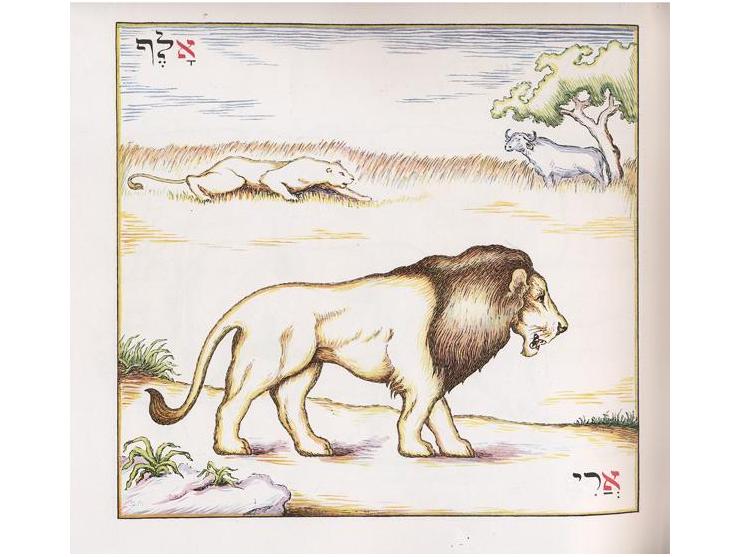 אלף בית, הרמן פכנבך. הוצאת "שוקן", ברלין, [תרצ"ו 1936?].
עשרים ושניים איורים צבעוניים של בעלי חיים, לפי סדר הא