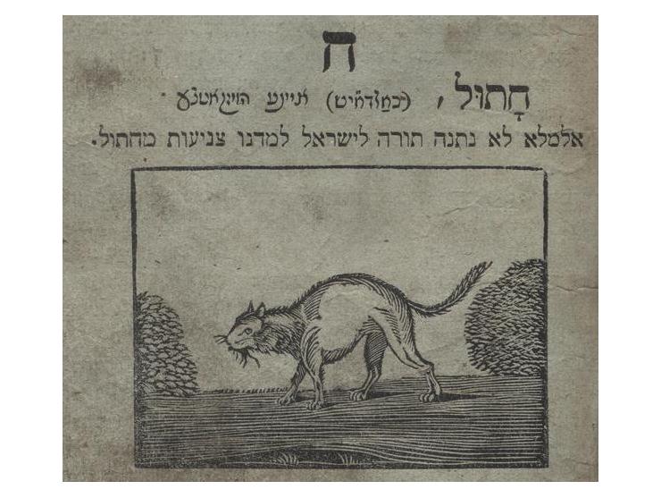 ראשית למודים, אָדער עלעמענטאַר-אונטערריכט פור דיא איזראעליטישע יוגענד, מאת שלמה בלאך [בלוך]. הנובר, 1837. יידיש-דייטש.
ספר לי